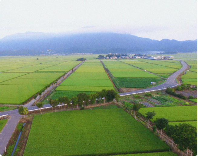 ポイントエリア画像